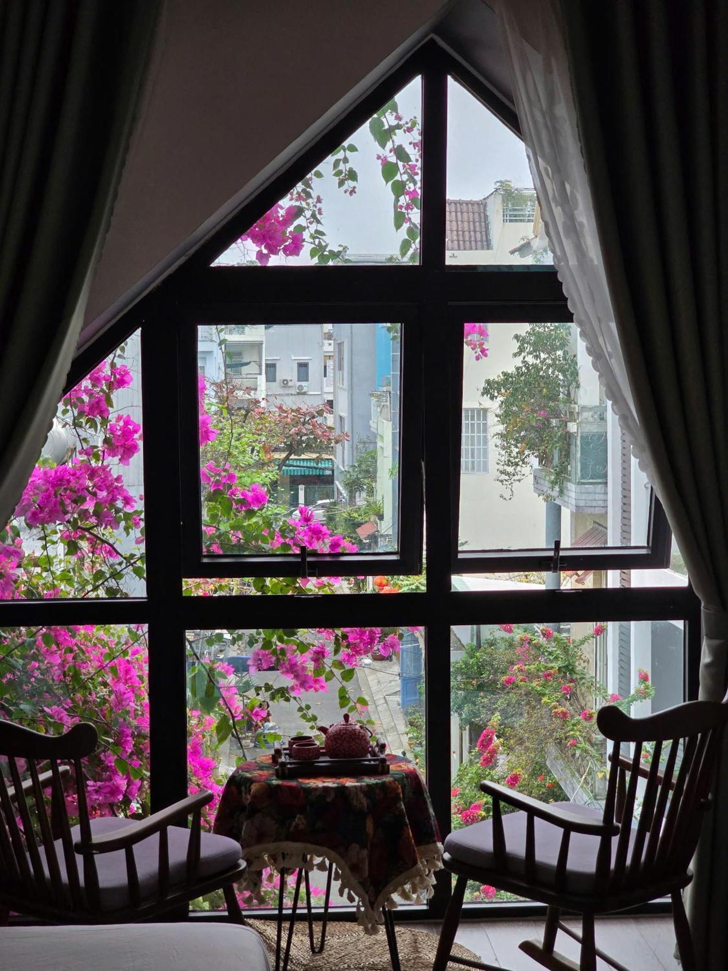 Проживание в семье Wings House